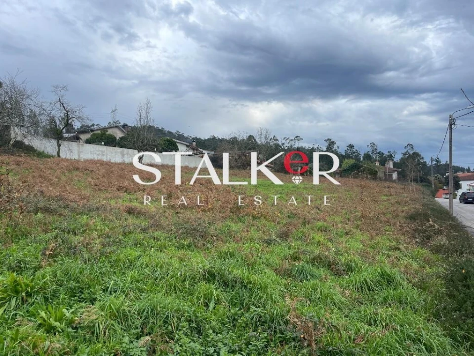 Terreno para Venda em Caldas de São Jorge e Pigeiros Foto 9