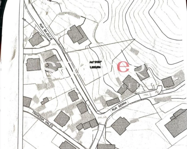 Terreno para Venda em Caldas de São Jorge e Pigeiros Foto 6