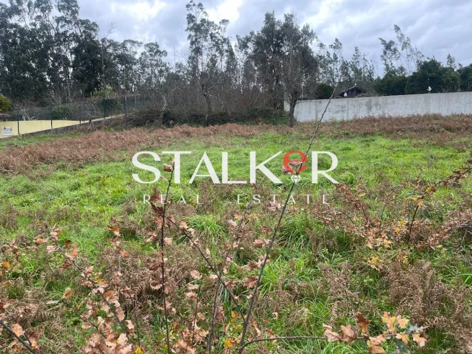 Terreno para Venda em Caldas de São Jorge e Pigeiros Foto 10