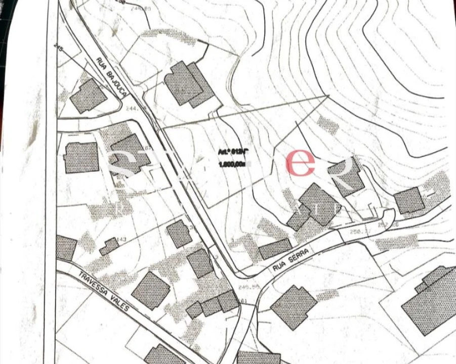 Terreno para Venda em Caldas de São Jorge e Pigeiros Foto 6