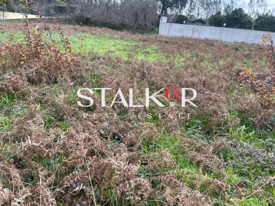 Terreno para Venda em Caldas de São Jorge e Pigeiros Foto 13