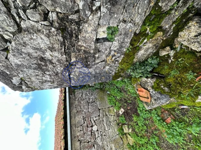 Armazém para Venda em Alvados e Alcaria Foto 7