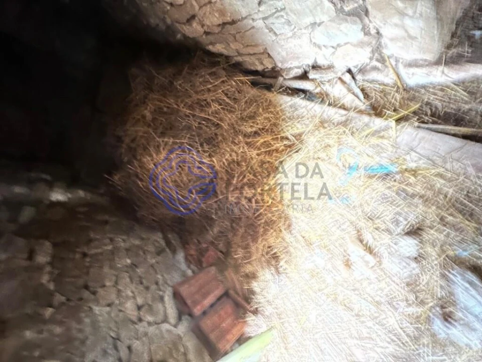 Armazém para Venda em Alvados e Alcaria Foto 10