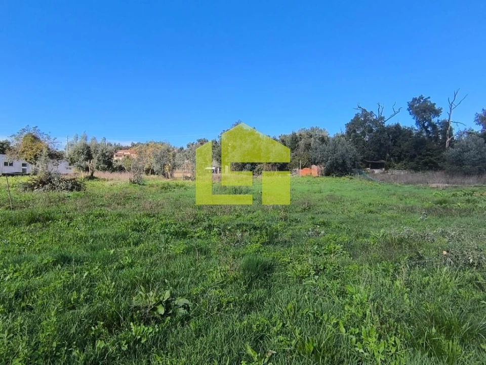 Terreno para Venda em Serpins Foto 11