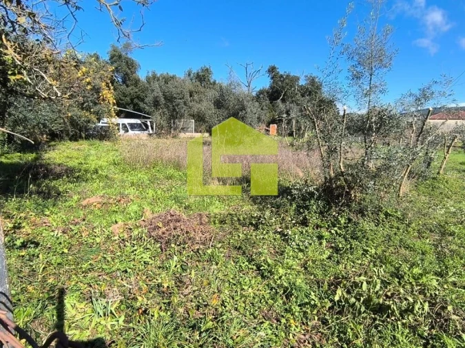 Terreno para Venda em Serpins Foto 3