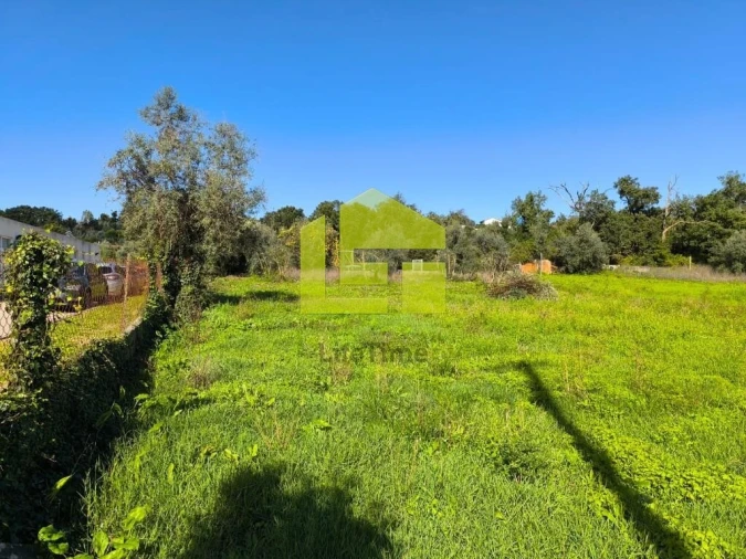 Terreno para Venda em Serpins Foto 5