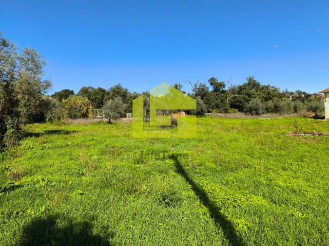 Terreno para Venda em Serpins Foto 6