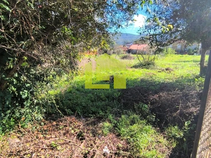 Terreno para Venda em Serpins Foto 28