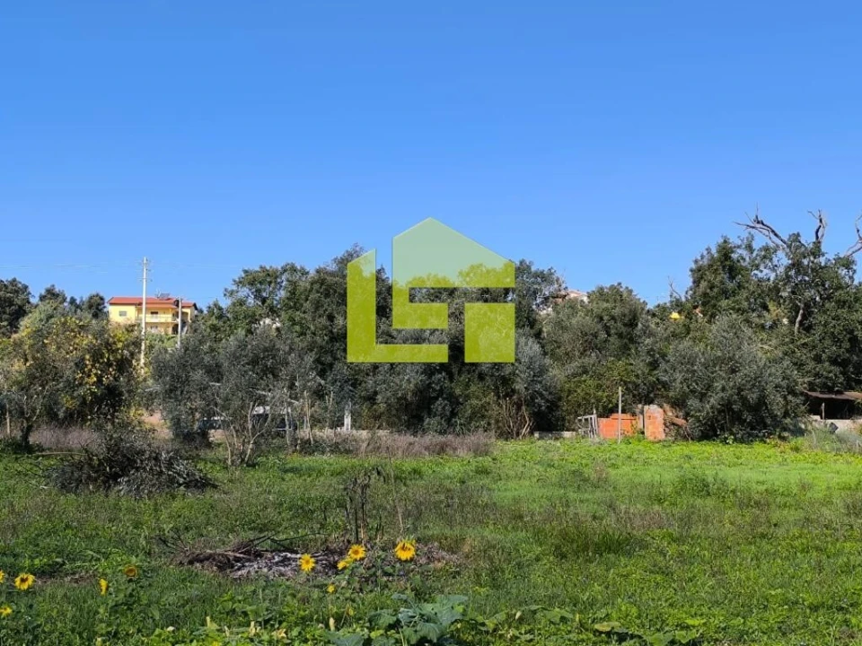 Terreno para Venda em Serpins Foto 7