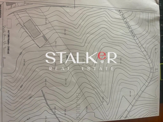 Terreno para Venda em Caldas de São Jorge e Pigeiros Foto 1