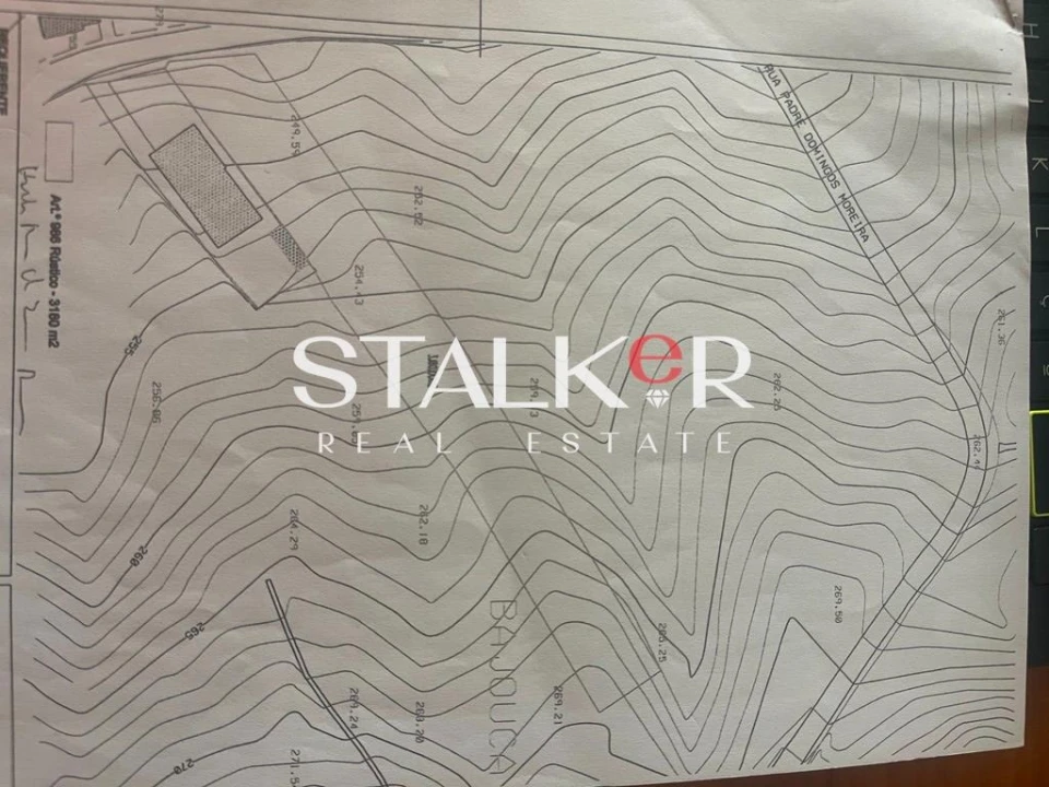 Terreno para Venda em Caldas de São Jorge e Pigeiros Foto 1