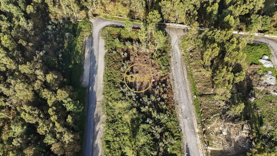 Terreno para Venda em Ruivães e Novais