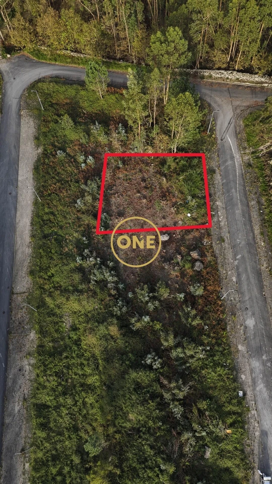 Terreno para Venda em Ruivães e Novais Foto 5