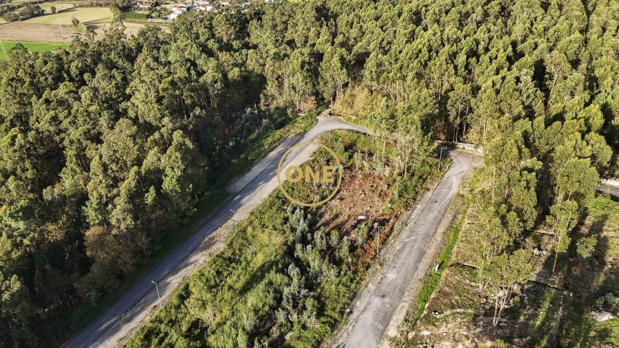 Terreno para Venda em Ruivães e Novais Foto 4