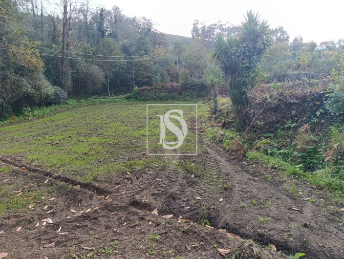 Terreno para Venda em Freitas e Vila Cova