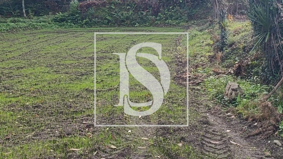 Terreno para Venda em Freitas e Vila Cova