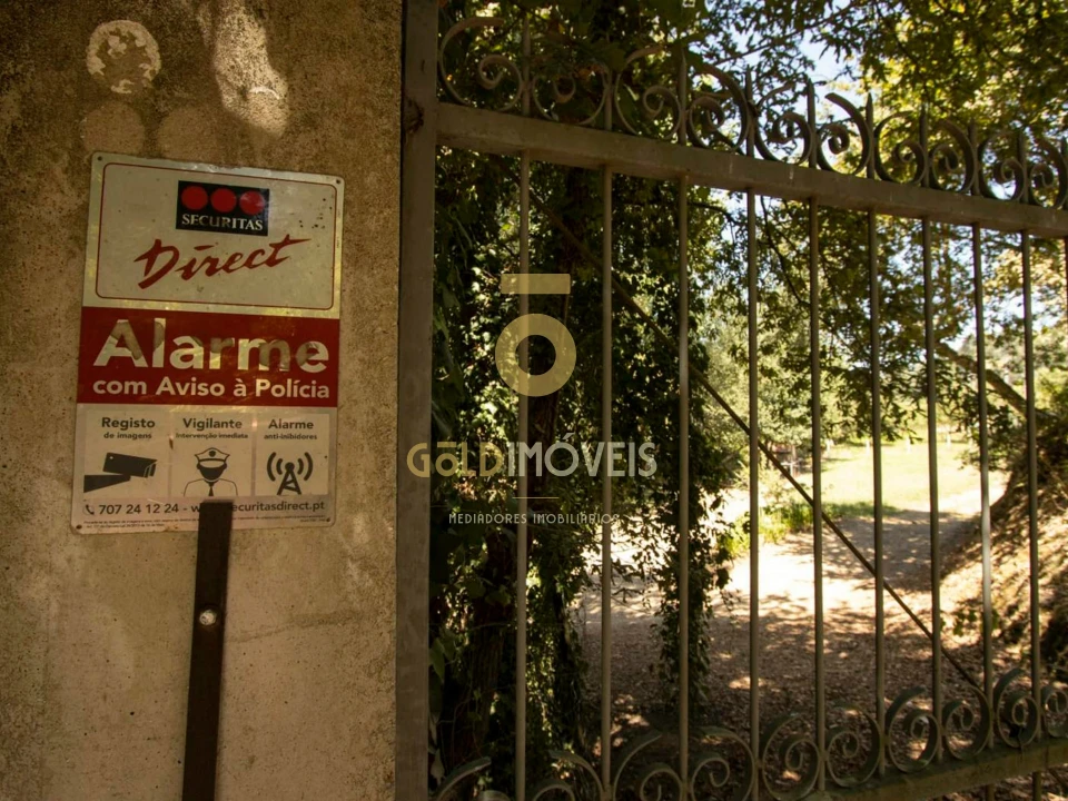 Terreno Agricola ou Rústico para Venda em Pinheiro da Bemposta, Travanca e Palmaz Foto 23