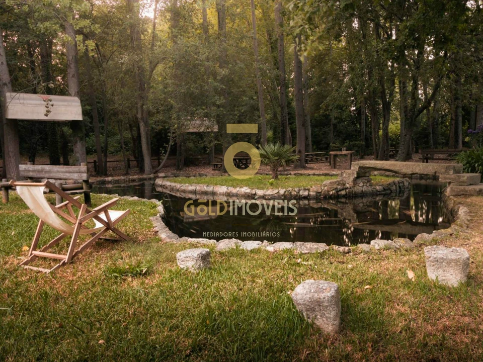 Terreno Agricola ou Rústico para Venda em Pinheiro da Bemposta, Travanca e Palmaz Foto 6