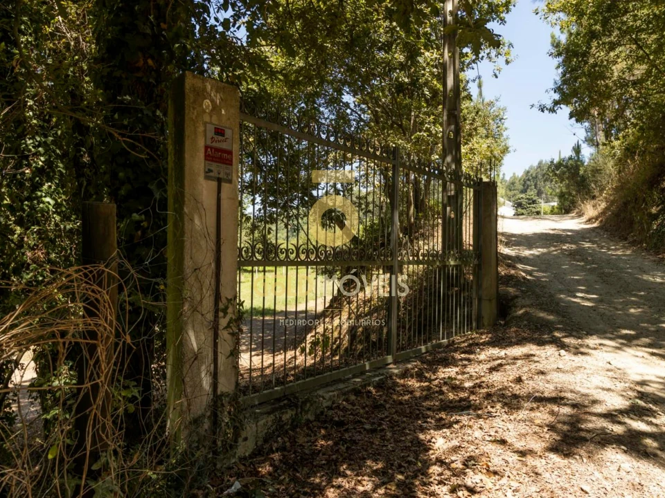 Terreno Agricola ou Rústico para Venda em Pinheiro da Bemposta, Travanca e Palmaz Foto 21
