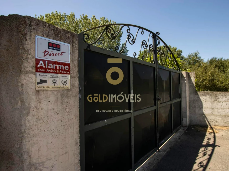 Terreno Agricola ou Rústico para Venda em Pinheiro da Bemposta, Travanca e Palmaz Foto 22