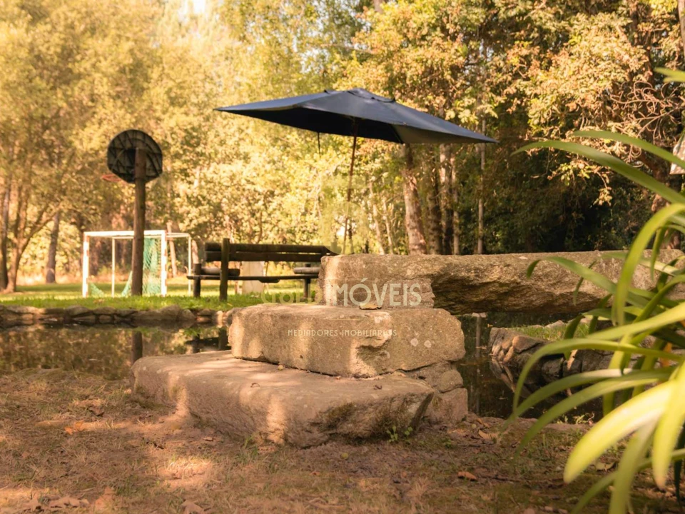 Terreno Agricola ou Rústico para Venda em Pinheiro da Bemposta, Travanca e Palmaz Foto 4