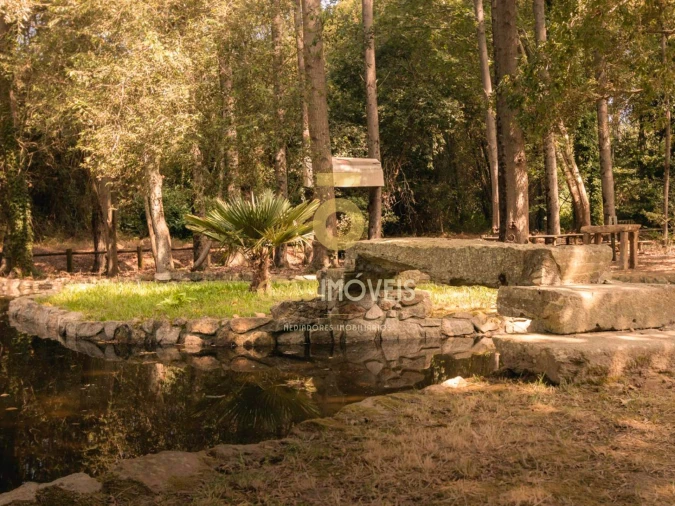 Terreno Agricola ou Rústico para Venda em Pinheiro da Bemposta, Travanca e Palmaz Foto 3