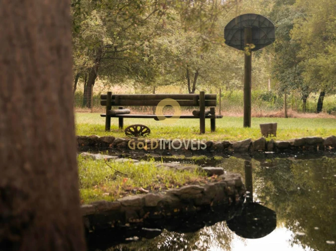 Terreno Agricola ou Rústico para Venda em Pinheiro da Bemposta, Travanca e Palmaz Foto 2