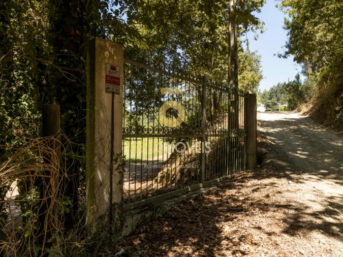 Terreno Agricola ou Rústico para Venda em Pinheiro da Bemposta, Travanca e Palmaz Foto 21