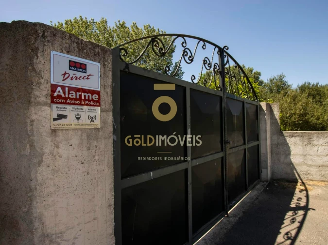 Terreno Agricola ou Rústico para Venda em Pinheiro da Bemposta, Travanca e Palmaz Foto 22