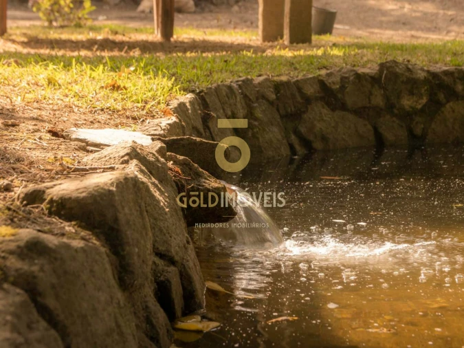 Terreno Agricola ou Rústico para Venda em Pinheiro da Bemposta, Travanca e Palmaz Foto 5