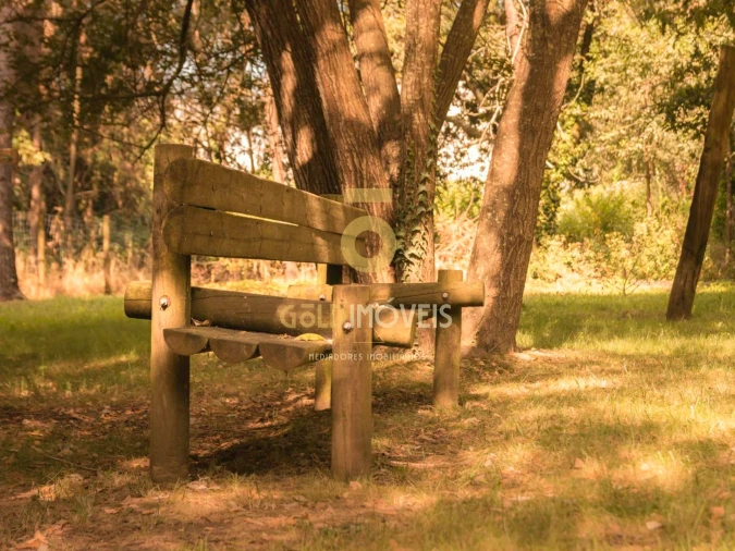 Terreno Agricola ou Rústico para Venda em Pinheiro da Bemposta, Travanca e Palmaz Foto 16