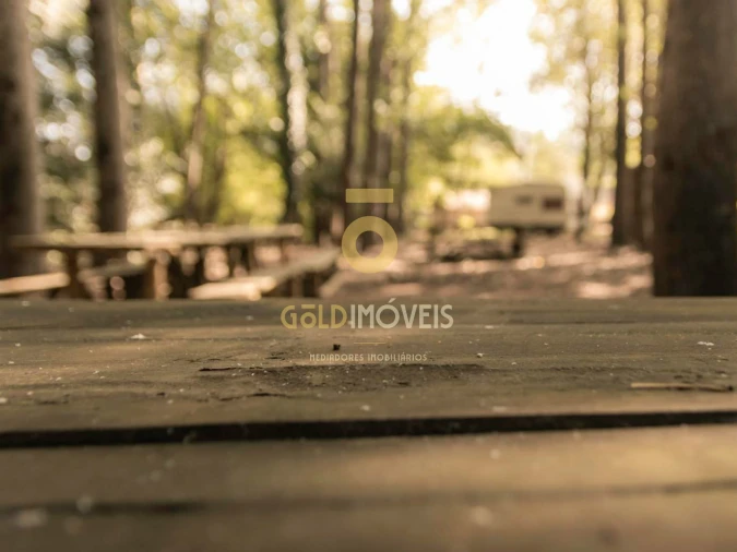 Terreno Agricola ou Rústico para Venda em Pinheiro da Bemposta, Travanca e Palmaz Foto 11
