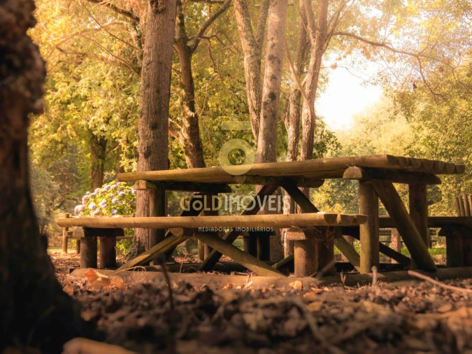 Terreno Agricola ou Rústico para Venda em Pinheiro da Bemposta, Travanca e Palmaz Foto 10