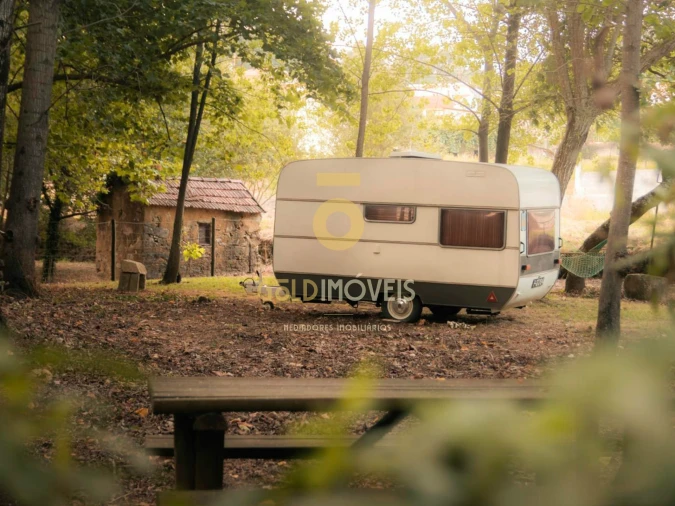 Terreno Agricola ou Rústico para Venda em Pinheiro da Bemposta, Travanca e Palmaz Foto 7