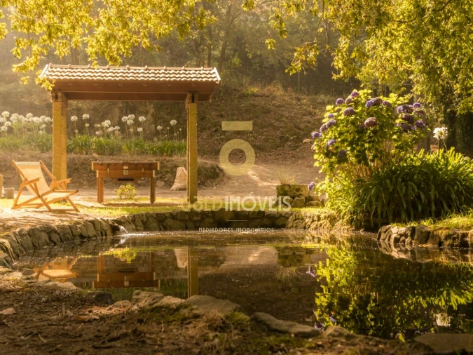 Terreno Agricola ou Rústico para Venda em Pinheiro da Bemposta, Travanca e Palmaz Foto 15