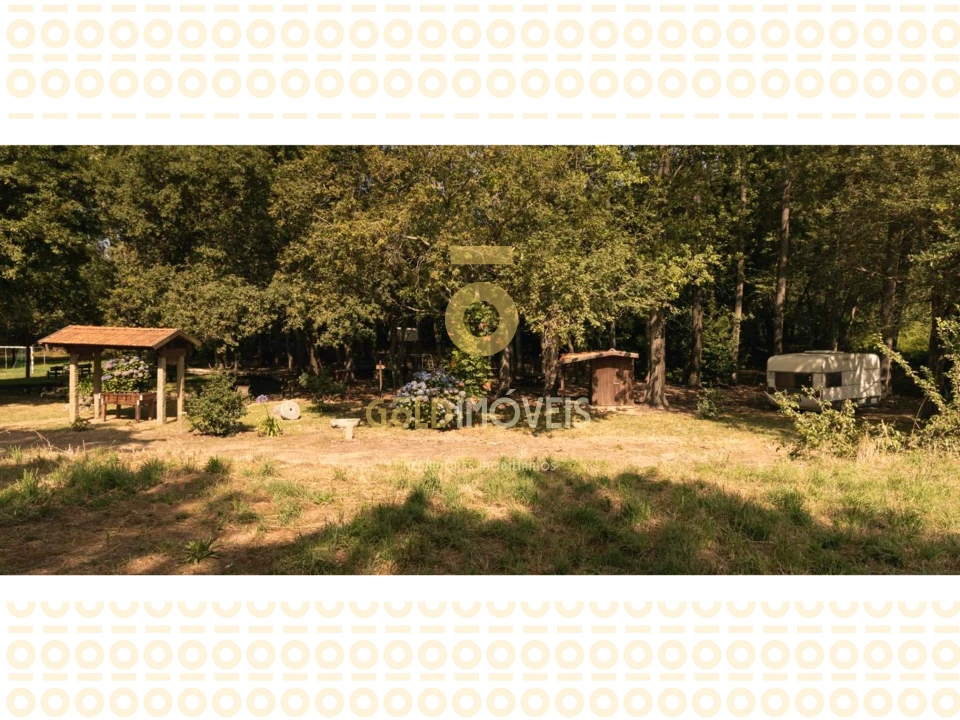 Terreno Agricola ou Rústico para Venda em Pinheiro da Bemposta, Travanca e Palmaz Foto 19