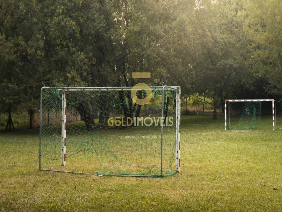 Terreno Agricola ou Rústico para Venda em Pinheiro da Bemposta, Travanca e Palmaz Foto 9