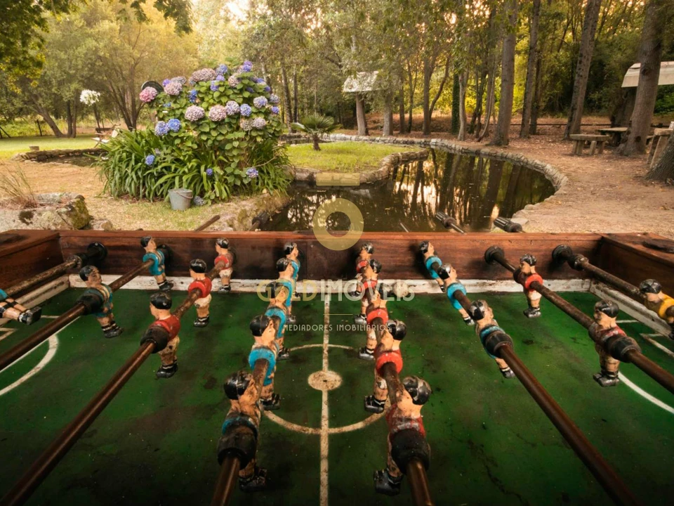 Terreno Agricola ou Rústico para Venda em Pinheiro da Bemposta, Travanca e Palmaz Foto 13