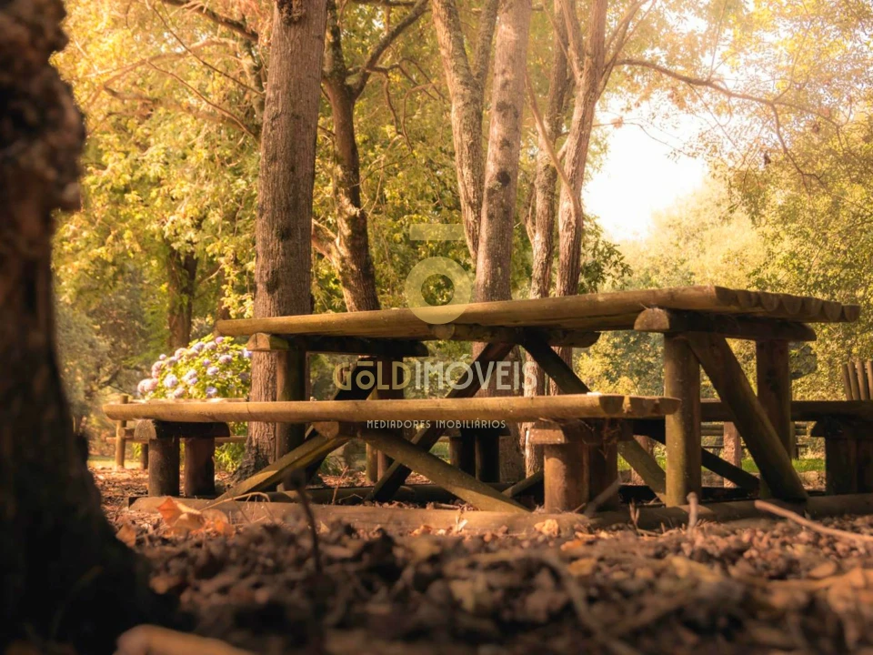 Terreno Agricola ou Rústico para Venda em Pinheiro da Bemposta, Travanca e Palmaz Foto 10