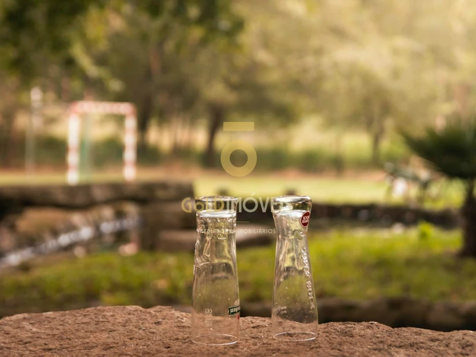 Terreno Agricola ou Rústico para Venda em Pinheiro da Bemposta, Travanca e Palmaz Foto 17