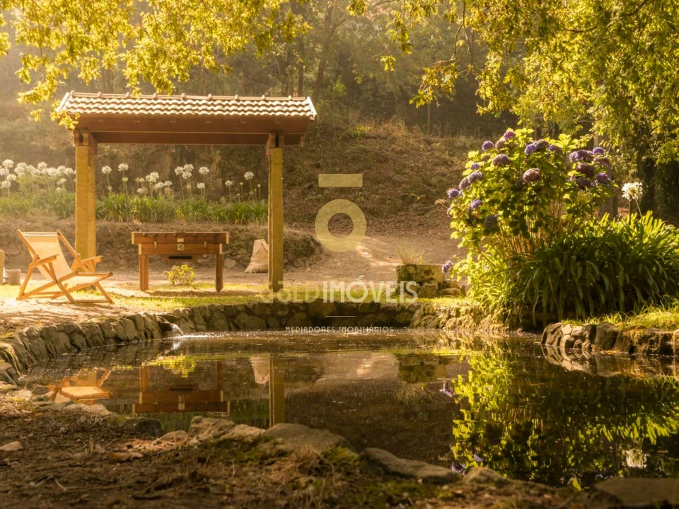 Terreno Agricola ou Rústico para Venda em Pinheiro da Bemposta, Travanca e Palmaz Foto 15