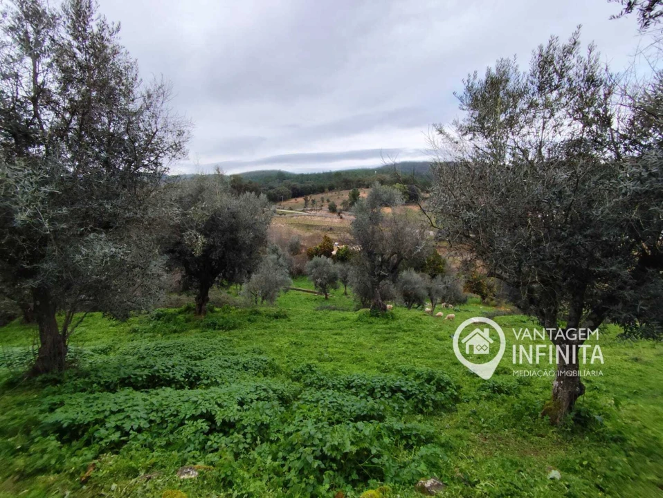 Quinta T4 para Venda em Alegrete Foto 13