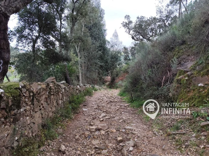 Quinta T4 para Venda em Alegrete Foto 5