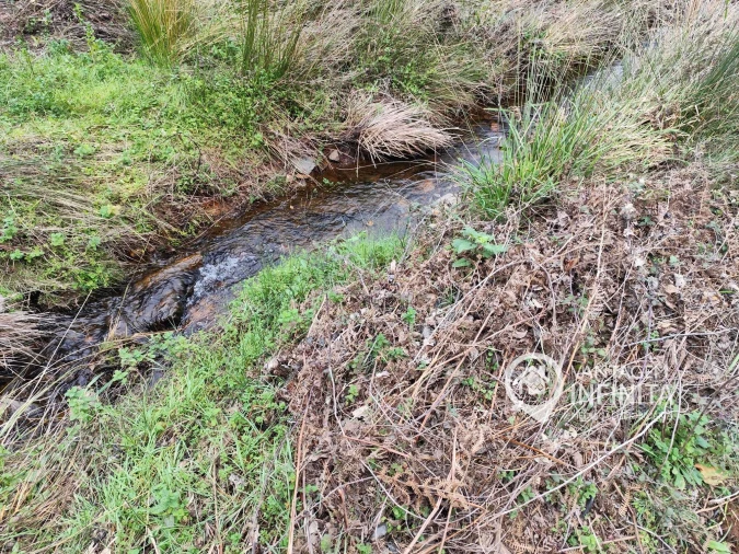 Quinta T4 para Venda em Alegrete Foto 10