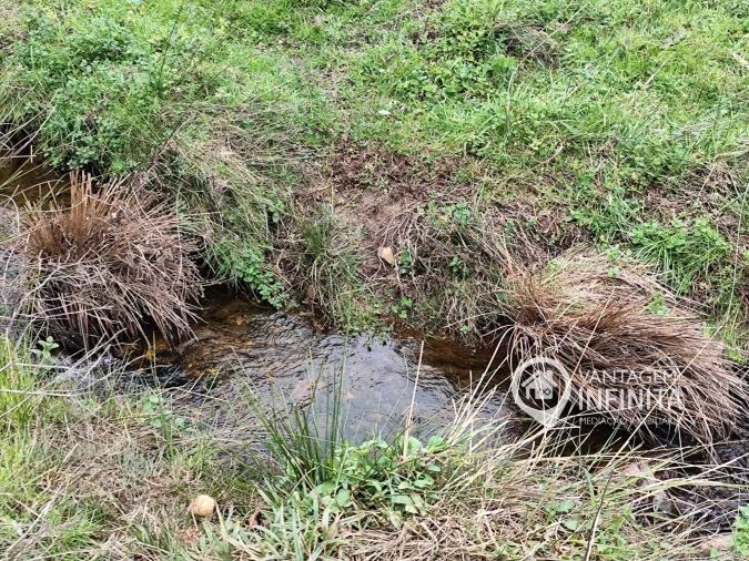 Quinta T4 para Venda em Alegrete Foto 7