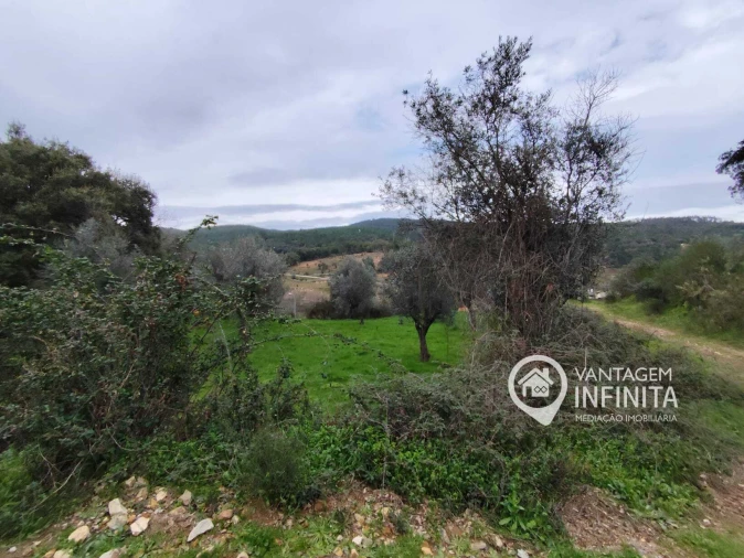 Quinta T4 para Venda em Alegrete Foto 12