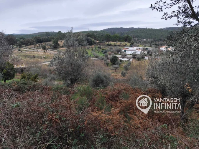 Quinta T4 para Venda em Alegrete Foto 8