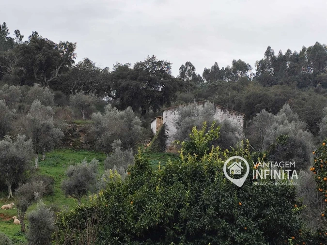 Quinta T4 para Venda em Alegrete Foto 3