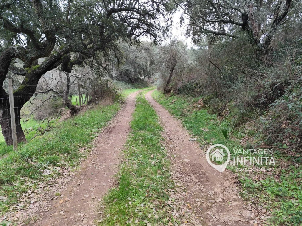 Quinta T4 para Venda em Alegrete Foto 16