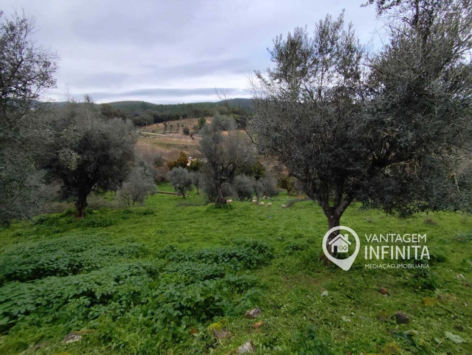 Quinta T4 para Venda em Alegrete Foto 4